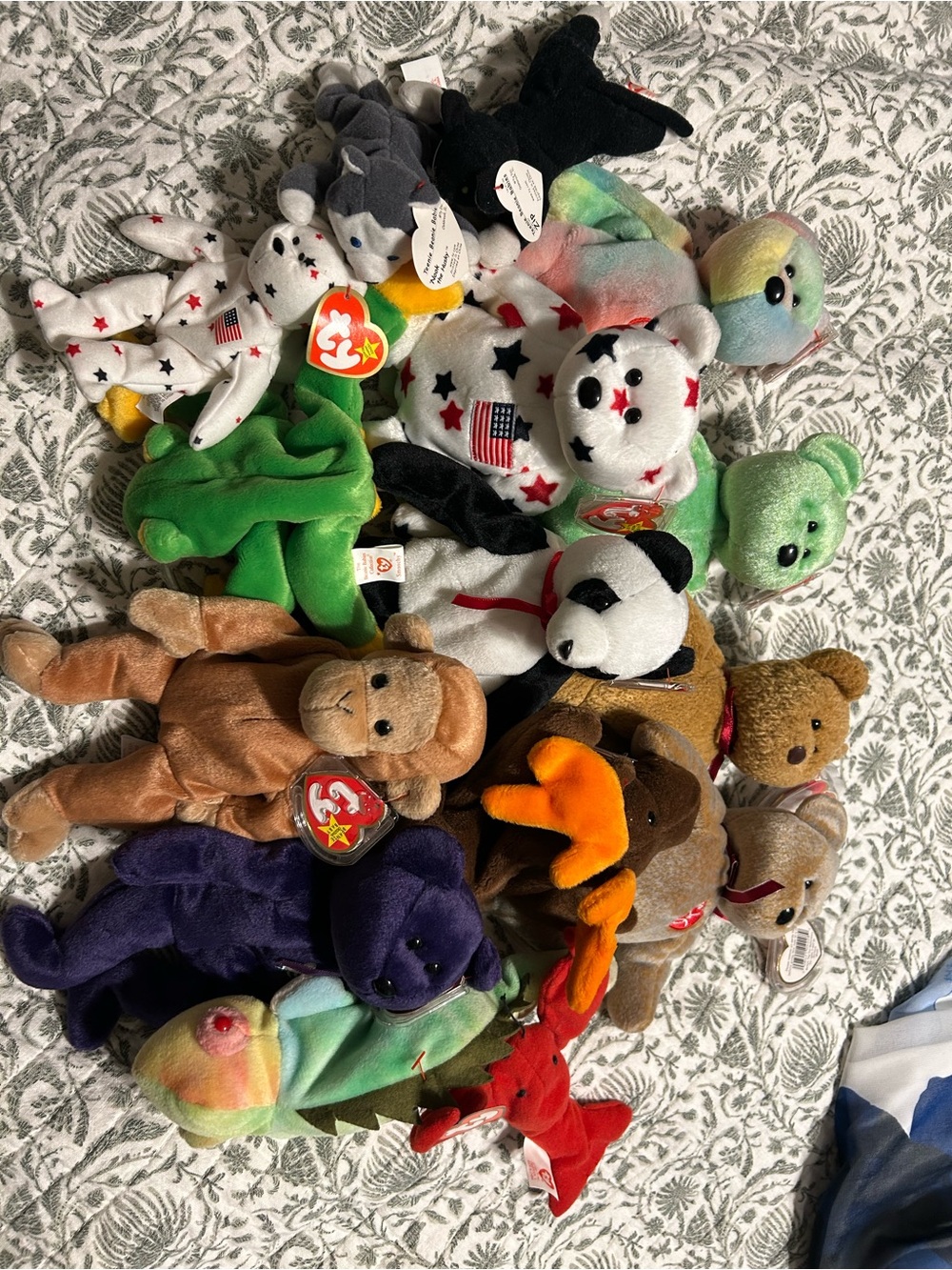 TY Beanie Babies Plush Toy Lot - Multi-Color Assorted Characters